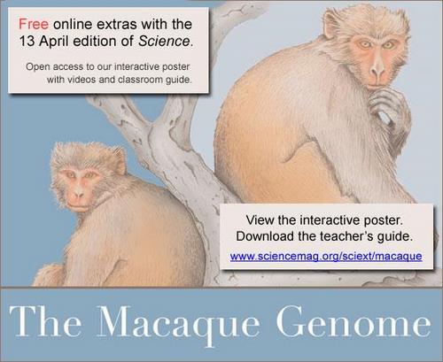 Science Macaque Genome