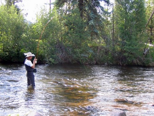 Catching trout in the Rockies