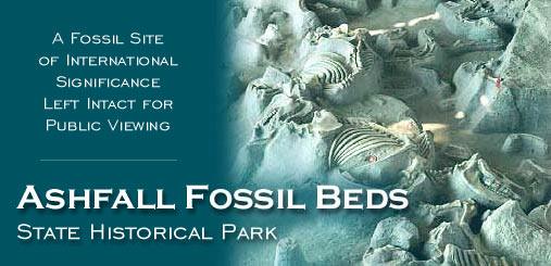 SPRING FIELD TRIP: Ashfall Fossil Beds