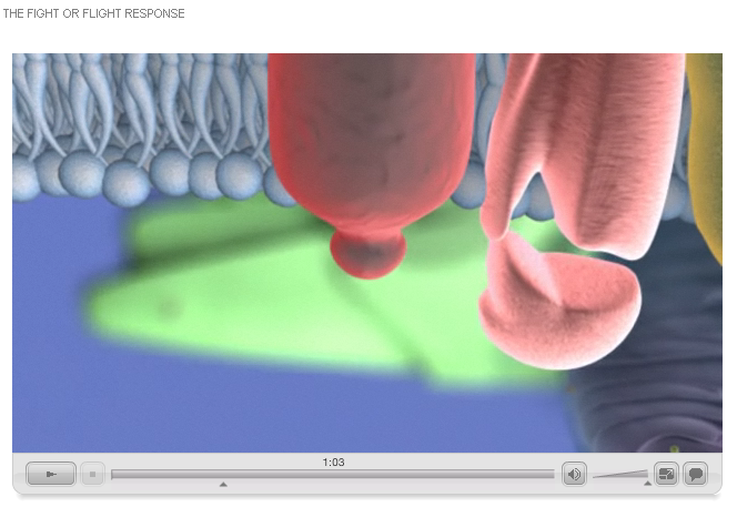 From the animation on cell signalling.