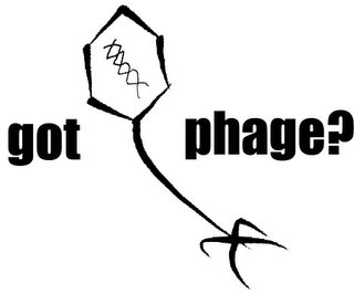 PhageLogo