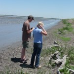 Observing Crayfish