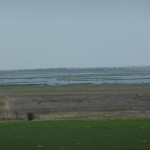 A view of Cheyenne Bottoms from Lookout Point