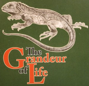 The Grandeur of Life Exhibit