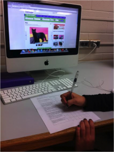 Student Scoring A cat from a local shelter for its genetic traits